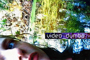 video_dumbo